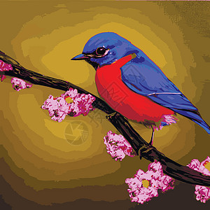 鸟儿坐落樱花枝 夜丁格尔树有叶子 鸟儿的矢量插图很美 日本人卡片植物学装饰品情调异国动物明信片纺织品玫瑰花园艺术图片