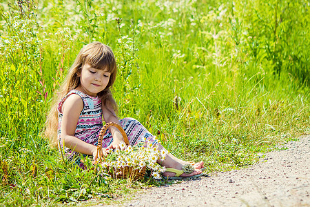 有甘菊的女孩 有选择性的焦点 自然的花朵孩子们雏菊篮子太阳洋甘菊眼泪花瓣味道孩子野餐图片