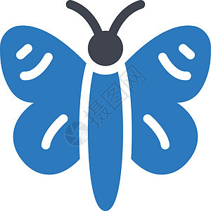 蝴蝶动物国家插图昆虫翅膀君主公园艺术黑色图片