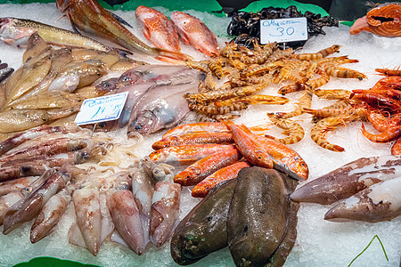 赤棕鱼片鱿鱼 鱼和海鲜背景
