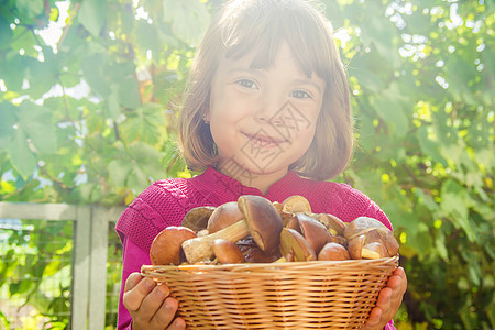 孩子手里有森林蘑菇 有选择的焦点 专注点产品黄油礼物孩子们木板公园小地毯篮子食物女孩图片