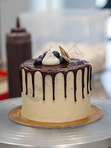 巧克力点心蛋糕 加金饼干蛋白瓜和蓝莓甜点蛋糕架糕点奶制品面包师设计师蛋糕奶油装潢师糕点师图片