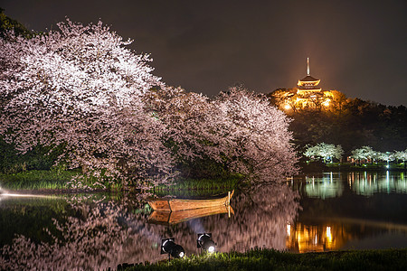 樱花三角夜池塘花园风格夜景花瓣植物护城河反射聚光灯木板图片