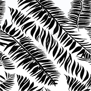 外来树叶无缝的黑色和白色图案 现代抽象矢量装饰背景 热带棕榈叶墙纸蕨类叶子丛林情调花瓣废料棕榈打印刻字图片