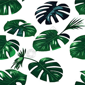 绿色怪兽图案白背景 热带树叶的异国模式 矢量说明 怪物叶棕榈墙纸植物雨林花瓣花园丛林插图水彩叶子图片