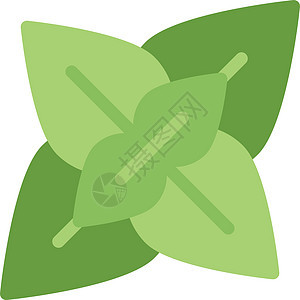 薄荷植物香料标识绿色草本生态食物插图草本植物叶子图片