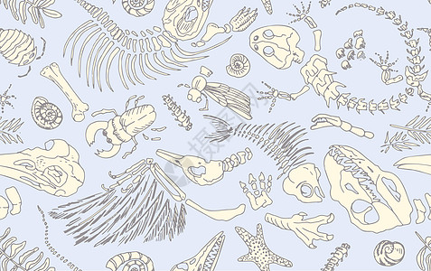 单线等深线印有史前动物 昆虫和植物的骨架 没有缝合型式的实际手画艺术 矢量插图图片