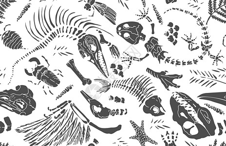 孤立的黑色模板在白色背景上印下了史前动物 昆虫和植物的骨骼 无缝模式逼真的手绘艺术 矢量图图片