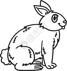 儿童专用常养兔孤立彩色页面图片