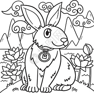 野兔颜色年莲花花园的兔子背景图片