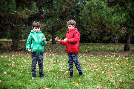 两个孩子在森林里徒步旅行 和托德家的孩子一起远足环境晴天森林公园乐趣季节男生幸福木头兄弟图片