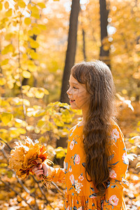 在公园里有秋橙树叶的小女孩 生活方式 秋天和孩子的概念 笑声季节童年女孩幸福女性晴天森林婴儿乐趣喜悦图片