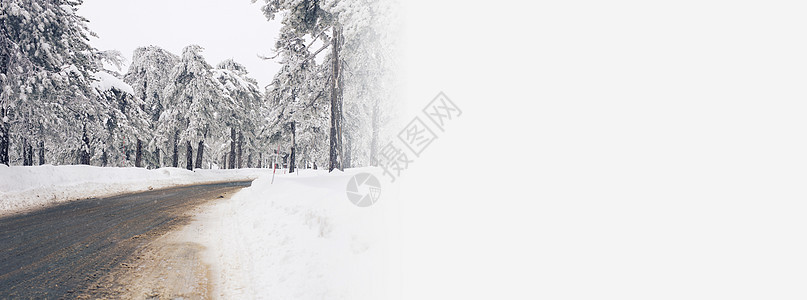 班纳冬季道路和雪雪 树木景观布满霜冻及复制空间图片