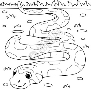 儿童玉米蛇动物彩色页面图片