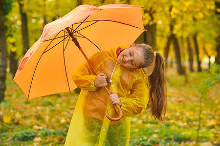 被雨淋湿乐趣可爱的高清图片