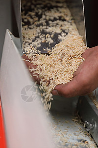 工厂机器 近距离挤米饭食物稻田控制收成机械粮食谷物技术文化工作图片