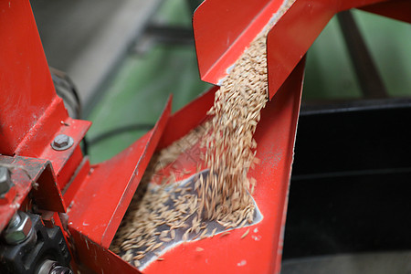 工厂机器 近距离挤米饭稻田植物机械控制场地食物碾米粮食文化种子图片