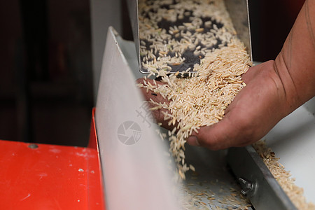 工厂机器 近距离挤米饭技术食物控制场地碾米工作植物金属粮食收成图片