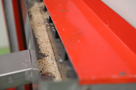 工厂机器 近距离挤米饭场地文化谷物控制食物金属碾米植物收成粮食图片