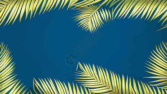 植物经典壁纸 背景 地表纹理等古典风味的外树叶组成物卡片热带异国绿色植物冲浪丛林邀请函棕榈艺术花园图片