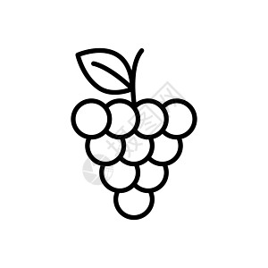 葡萄大纲图标甜点植物白色浆果标识插图农业叶子黑色食物图片