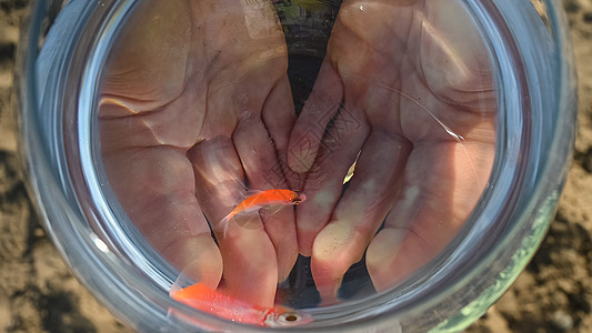 有金鱼在女性手中的圆形水族馆 最美景流动环境异国金子圆圈液体气泡宠物玻璃浴室图片