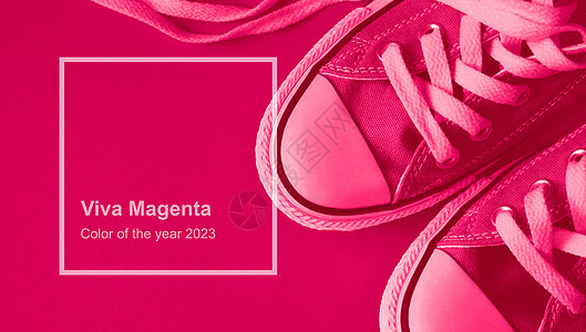 马金塔单色运动鞋万岁 2023年特兰迪颜色概念背景图片