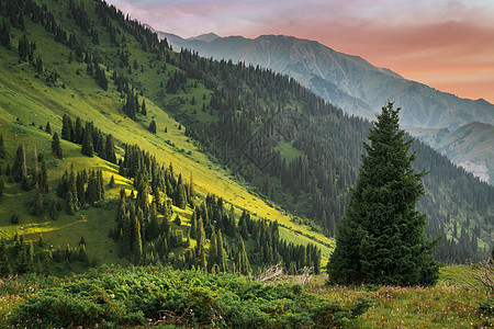 哈萨克斯坦阿拉陶山脊的阿拉木图山夏季景观 — 中亚的自然 Kimasar 峡谷图片
