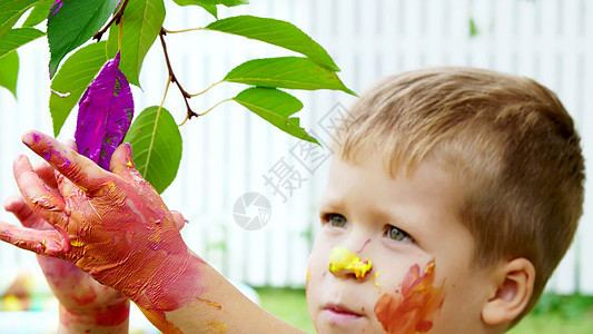 一个小孩 一个四岁的男孩在夏天玩耍 用手指画画 在花园里的树上装饰树叶女孩友谊儿子画家微笑婴儿娱乐女儿水果价值观图片