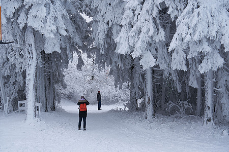 滑雪套间里的小女孩和她的父亲一起踏上了这条小路 在白雪覆盖的草坪上 美丽的树木在寒冷的冬日早晨被雪花浇灌 梦幻森林中的冷杉夹克时图片