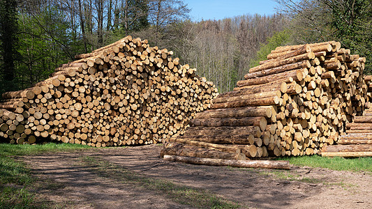 林业 原木堆工业树干城市木桩植物群农村木头风景森林木材图片
