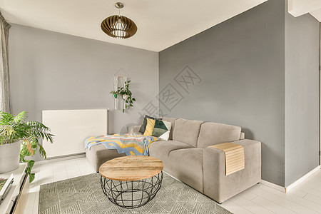 客厅 有沙发和咖啡桌扶手椅公寓住宅建筑学风格地毯墙壁桌子窗户椅子背景图片
