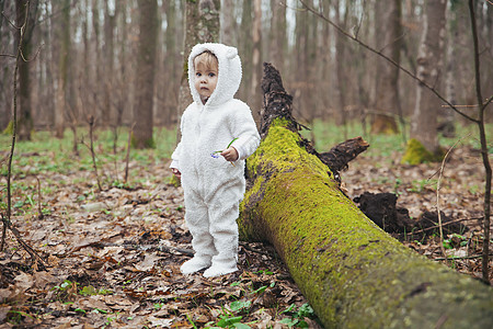 身着熊装的可爱婴儿 在森林里 被一棵落树砍倒舞会苔藓落叶投标北极熊野性玩具熊动物栖息地女孩图片