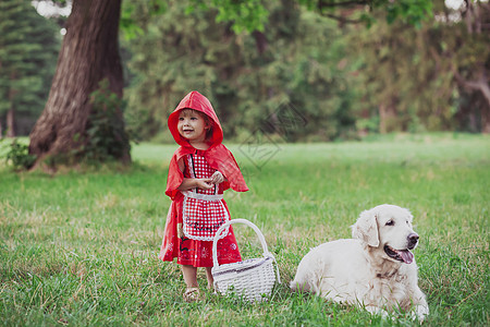 婴儿穿着小红帽服装和金毛猎犬而不是狼图片