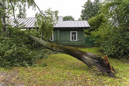 一棵被风吹破的树 就在一栋私人房屋旁边保险草地叶子雷雨树枝灾难树桩飓风森林损害图片