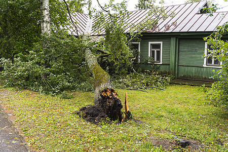 一棵被风吹破的树 就在一栋私人房屋旁边保险木头草地公园雷雨树枝危险森林天气损害图片