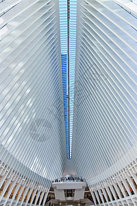 纽约市巨大的地铁内部建筑中的天窗的脊柱 白肋骨 位于纽约市图片