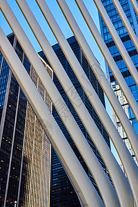 白色肋骨建筑现代设计 纽约市后面有摩天大楼的现代设计图片