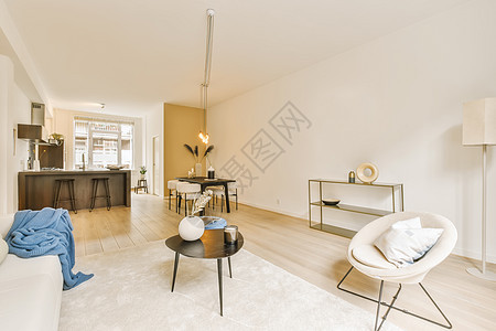 一个客厅 有白色沙发和一张桌子奢华装饰木头椅子风格长椅窗户公寓酒店建筑学图片