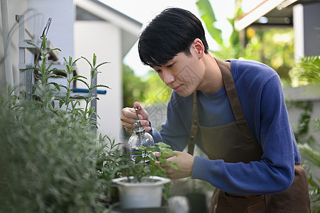 年轻的亚洲男子照顾植物 用喷雾瓶里的纯净水喷洒植物 园艺爱好概念图片