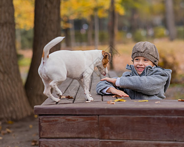 狗在秋天公园和男孩一起坐在长凳上散步图片