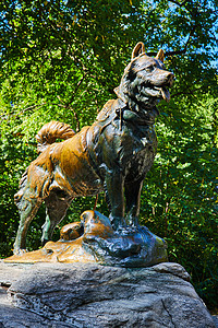 纽约市中央公园的巴尔托山牌狗雕像图片