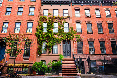 纽约市格林威治村砖建公寓楼上美丽的绿色绿葡萄园 纽约图片