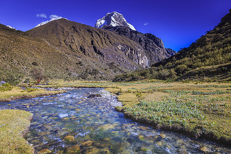 秘鲁安卡什的安第斯山脉下雪 秘鲁和Huascaran河马斯里夫景观旅行荒野溪流草原国际晴天风景环境山脉图片