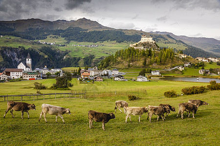 瑞士 瑞士阿尔卑斯山 恩加丁畜牧和村全景雪山地标农场国际城市景观教会文化风景图片