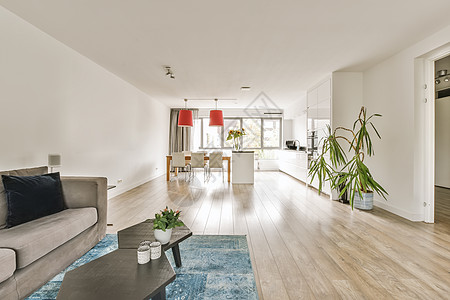 客厅 有沙发和咖啡桌木头住宅财产房子咖啡装饰风格地毯厨房建筑学图片