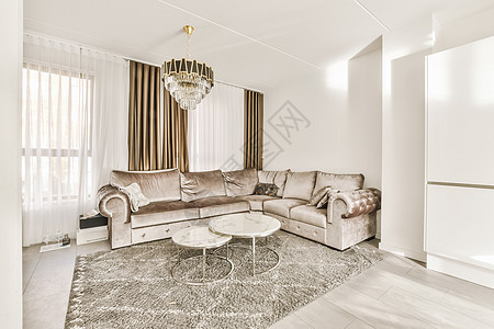 客厅 有皮革沙发和地毯桌子房子装饰长椅吊灯窗户地面木地板花瓶公寓图片