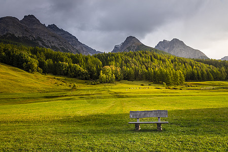 瑞士格劳本登州恩加迪内上层的苏氏体阿尔卑斯山地貌自然长椅座位冰川晴天森林天空草地目的地孤独图片