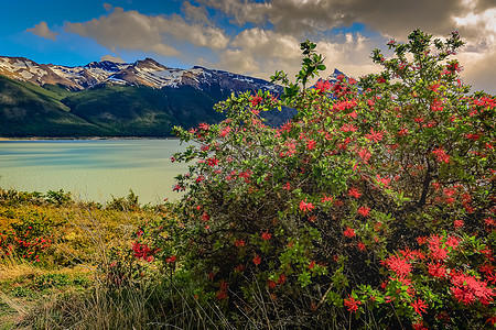 帕塔哥尼亚El Calafate附近的安第斯山脉和阿根廷湖目的地山脉地方风景旅行旅游雪山天空国际蓝色图片