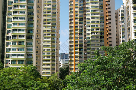 外观上生长着植物的建筑天空公寓住宅绿色活力商业环境景观市中心城市图片